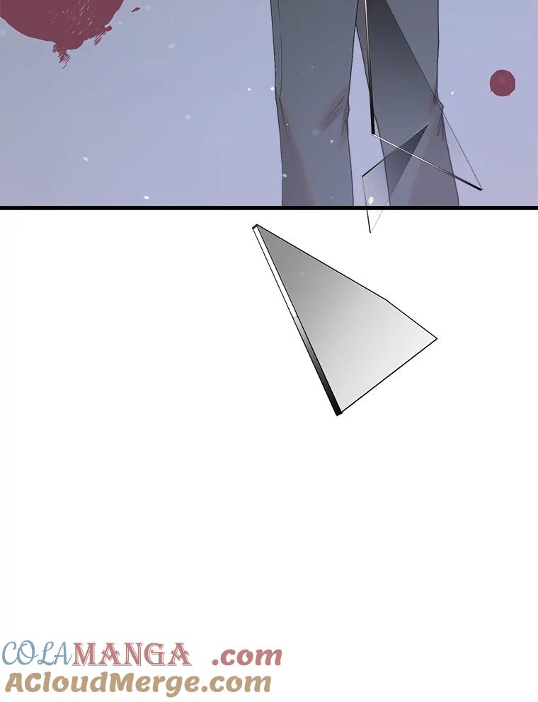 《第二个丈夫》40.圈套 第49页