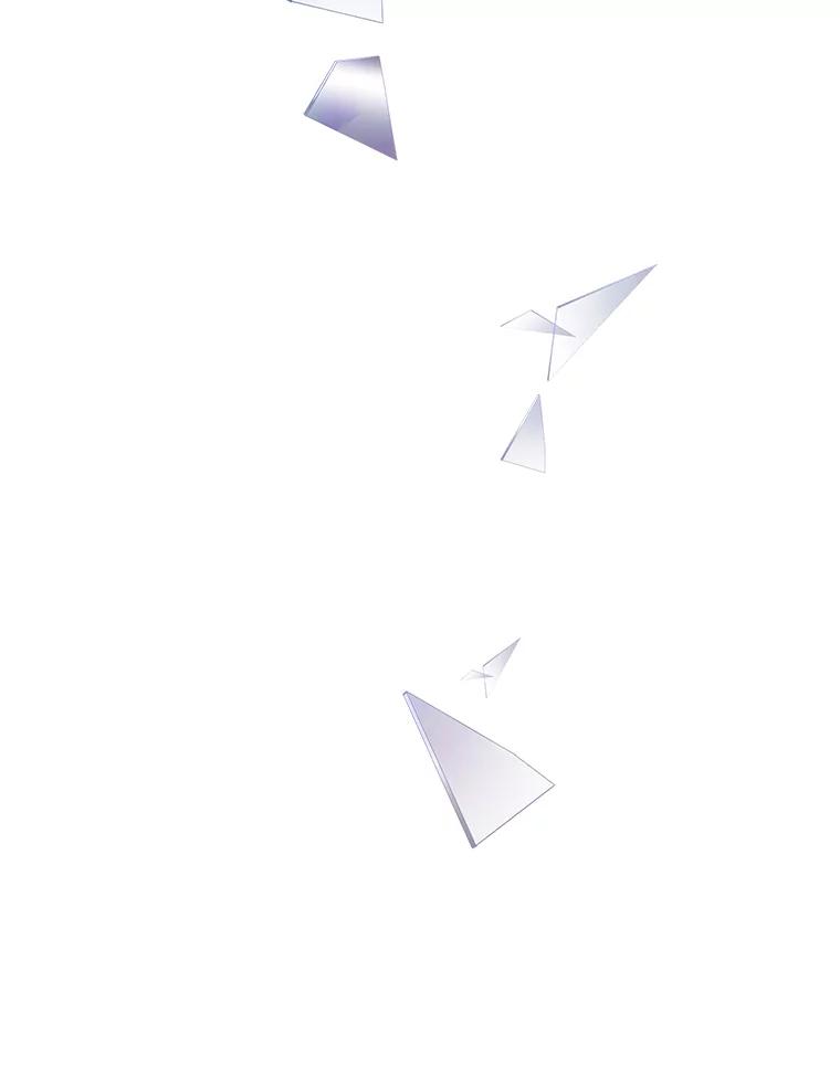 《第二个丈夫》40.圈套 第55页