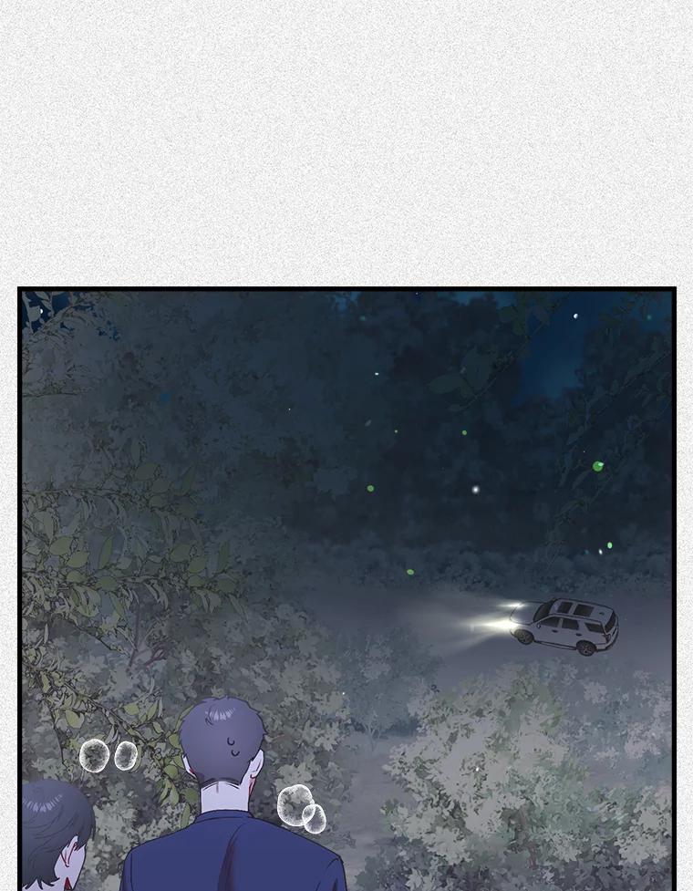 《第二个丈夫》41.逃脱 第32页