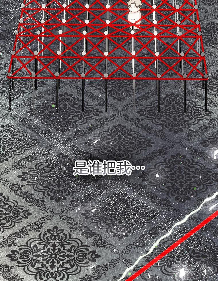 《第二个丈夫》44.证据消失 第104页