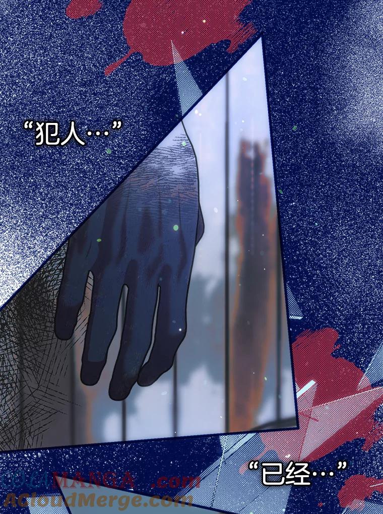 《第二个丈夫》44.证据消失 第29页