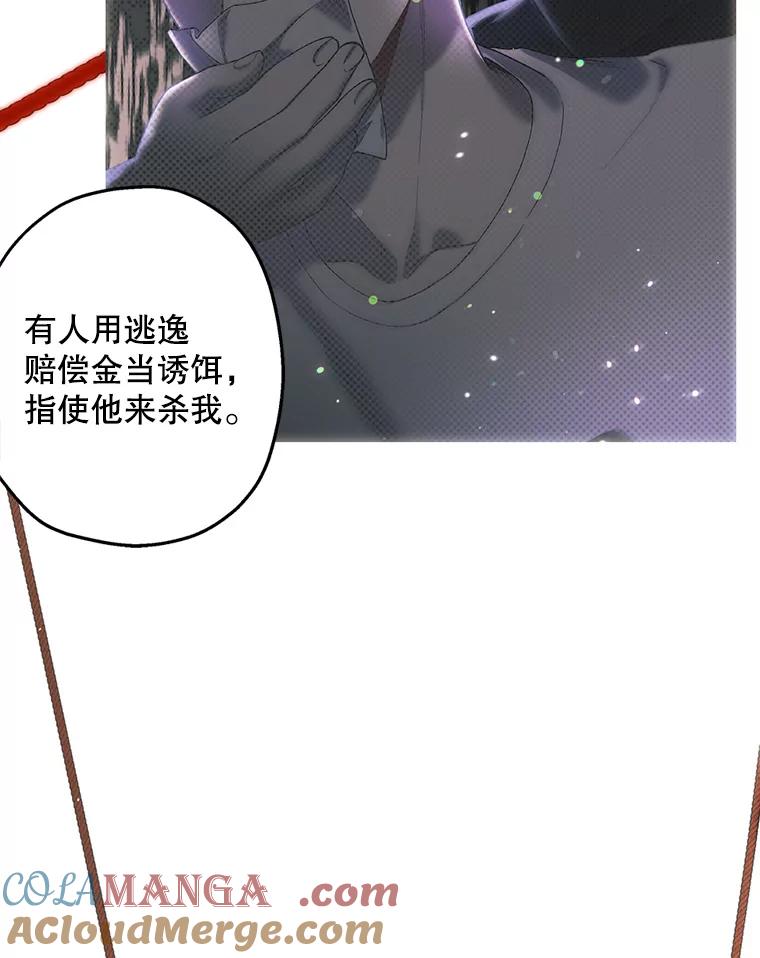 《第二个丈夫》44.证据消失 第41页