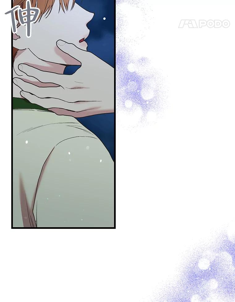 《第二个丈夫》44.证据消失 第120页