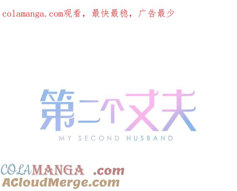 《第二个丈夫》44.证据消失 第1页
