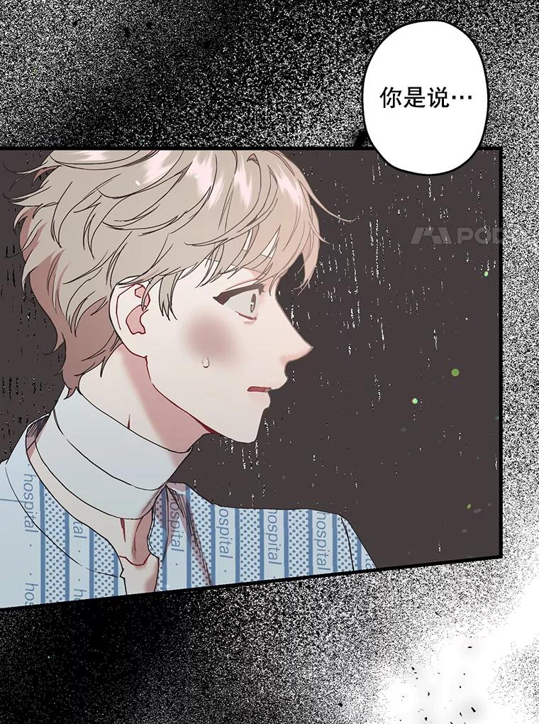 《第二个丈夫》44.证据消失 第8页