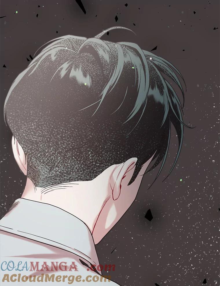 《第二个丈夫》46.反转 第37页