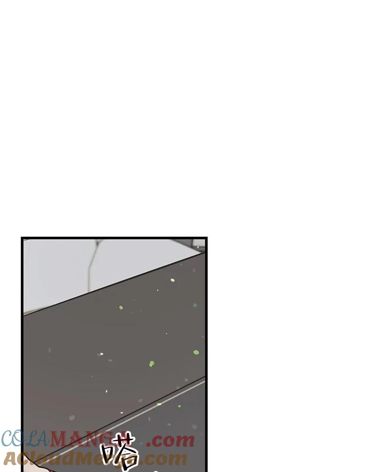 《第二个丈夫》47.掩盖 第17页