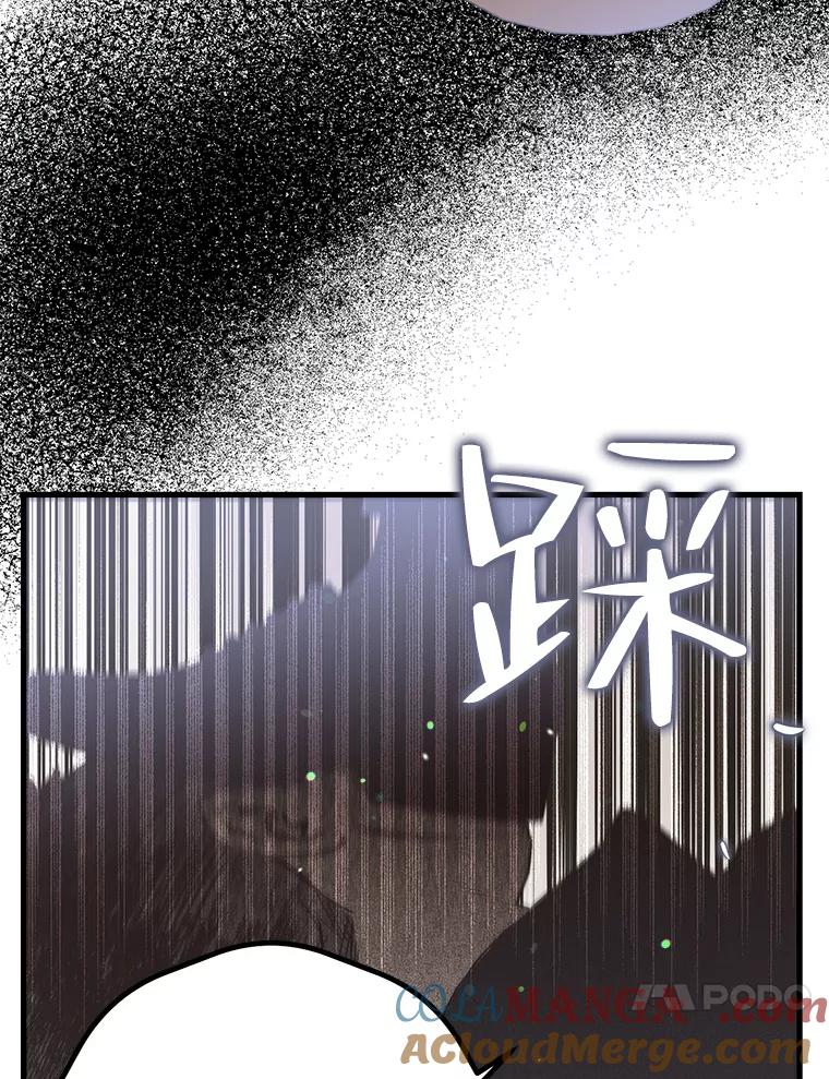 《第二个丈夫》47.掩盖 第37页