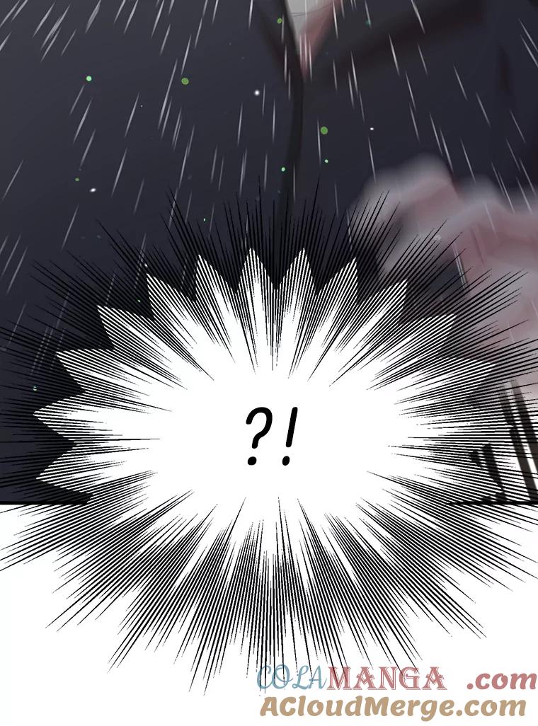 《第二个丈夫》47.掩盖 第33页