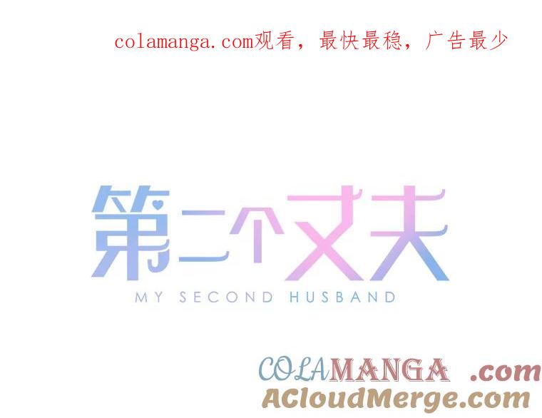 《第二个丈夫》47.掩盖 第1页