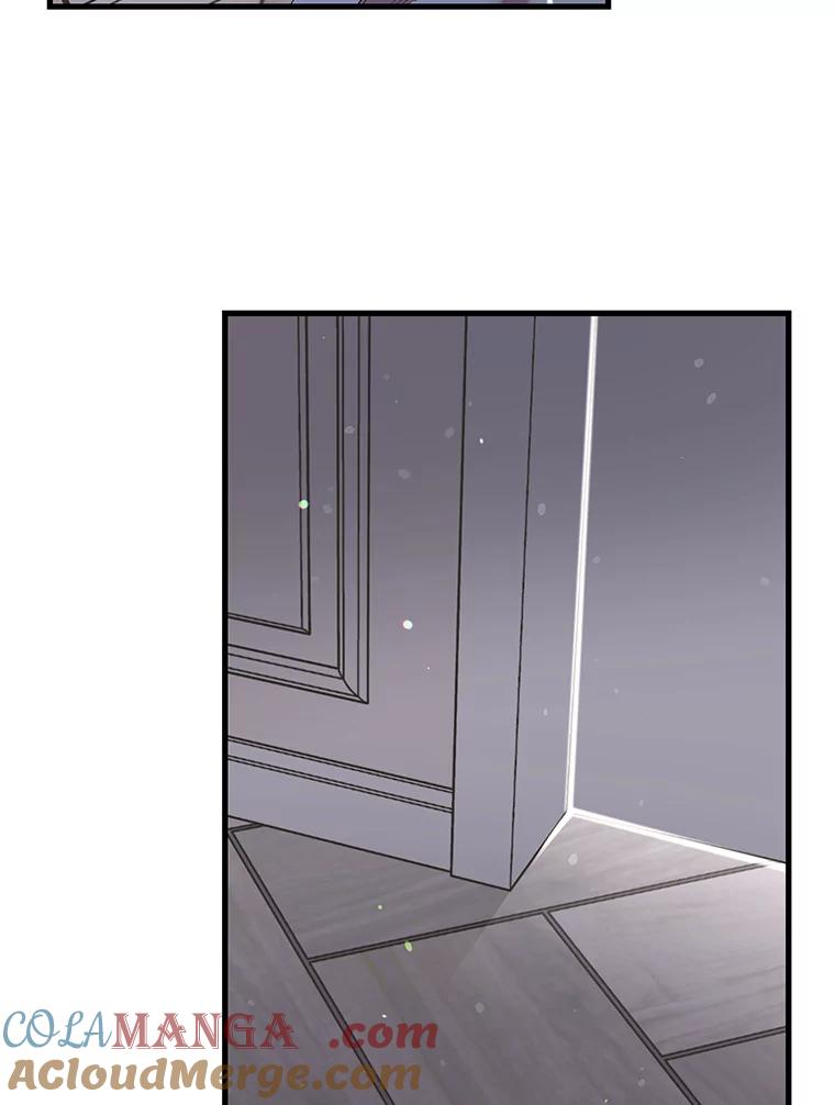 《第二个丈夫》47.掩盖 第61页