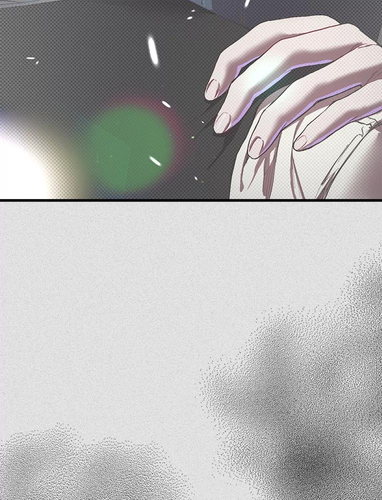 《第二个丈夫》50.三个人的秘密 第108页