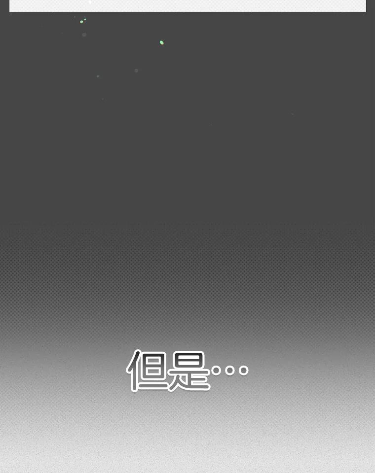 《第二个丈夫》50.三个人的秘密 第148页