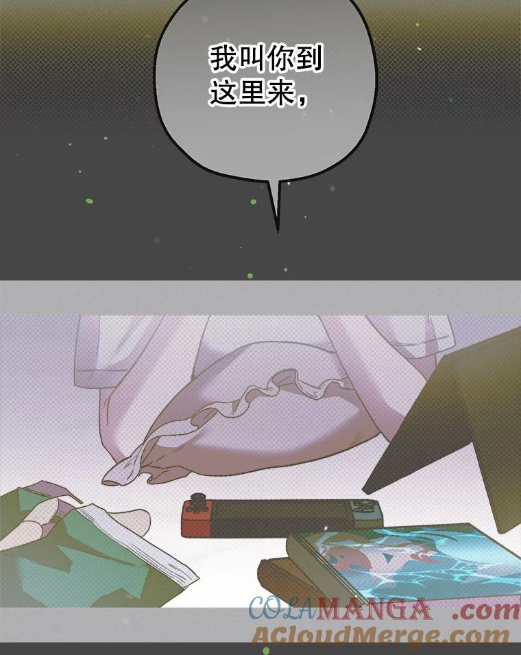 《第二个丈夫》50.三个人的秘密 第133页
