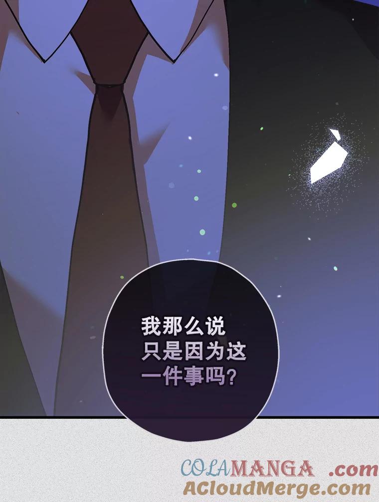 《第二个丈夫》50.三个人的秘密 第117页