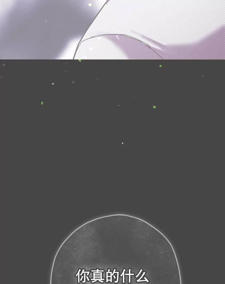 《第二个丈夫》50.三个人的秘密 第144页