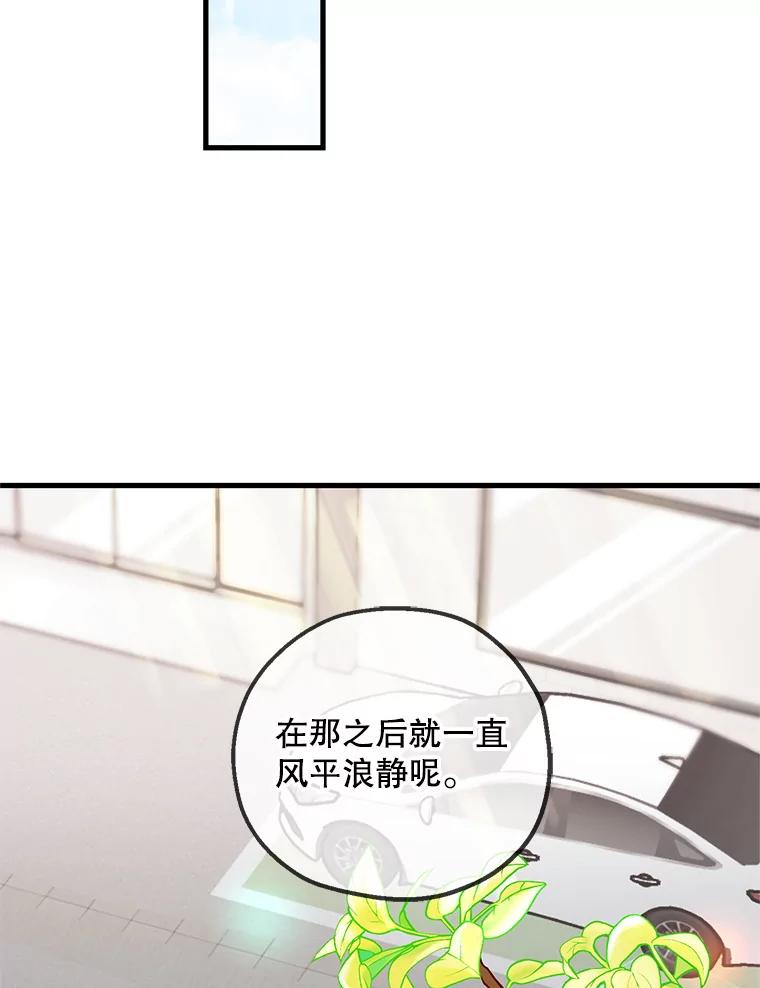 《第二个丈夫》51.心声 第95页