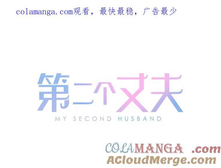 《第二个丈夫》52.再见吴悠岚 第1页