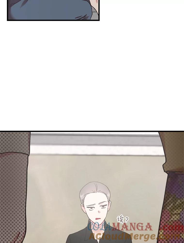 《第二个丈夫》53.机会 第117页