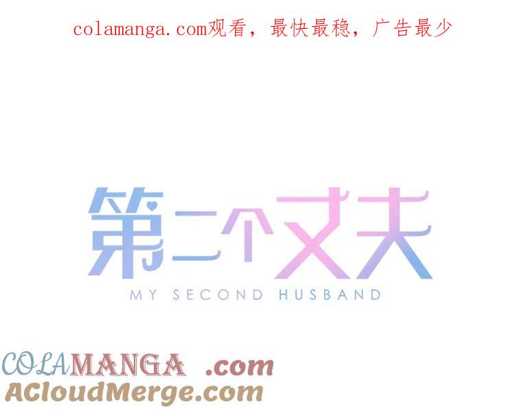 《第二个丈夫》54.接近真相 第1页
