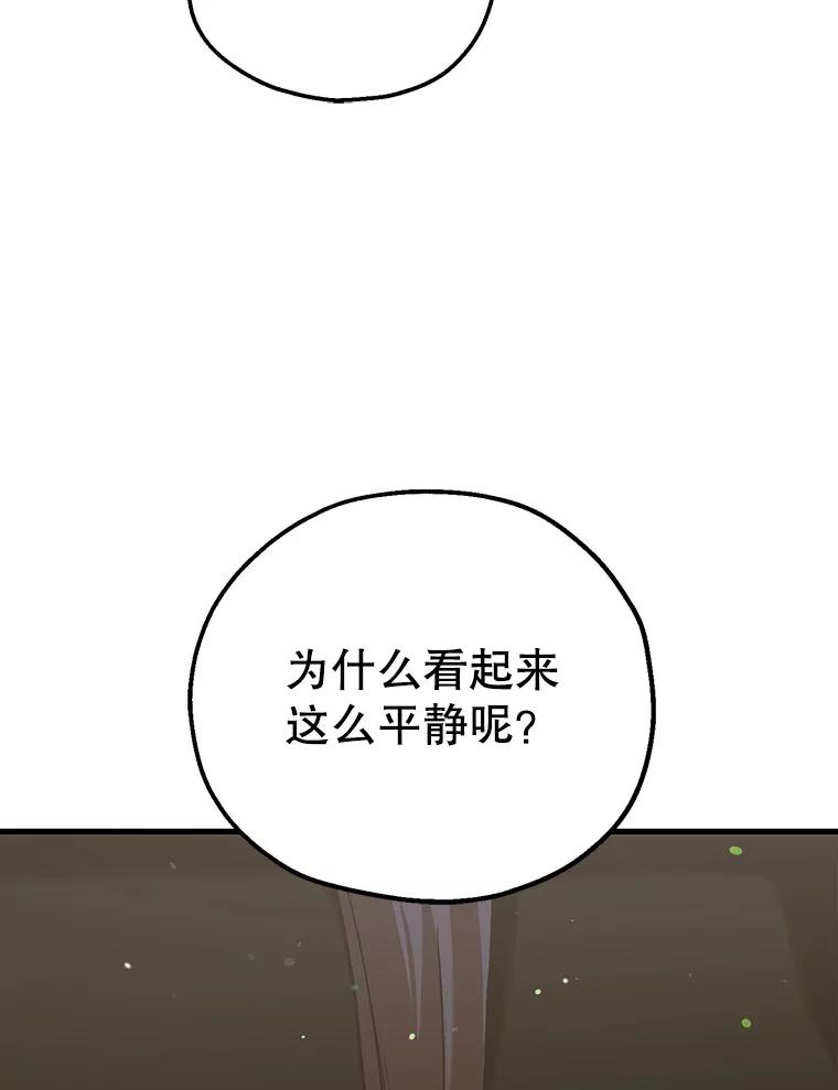 《第二个丈夫》54.接近真相 第87页