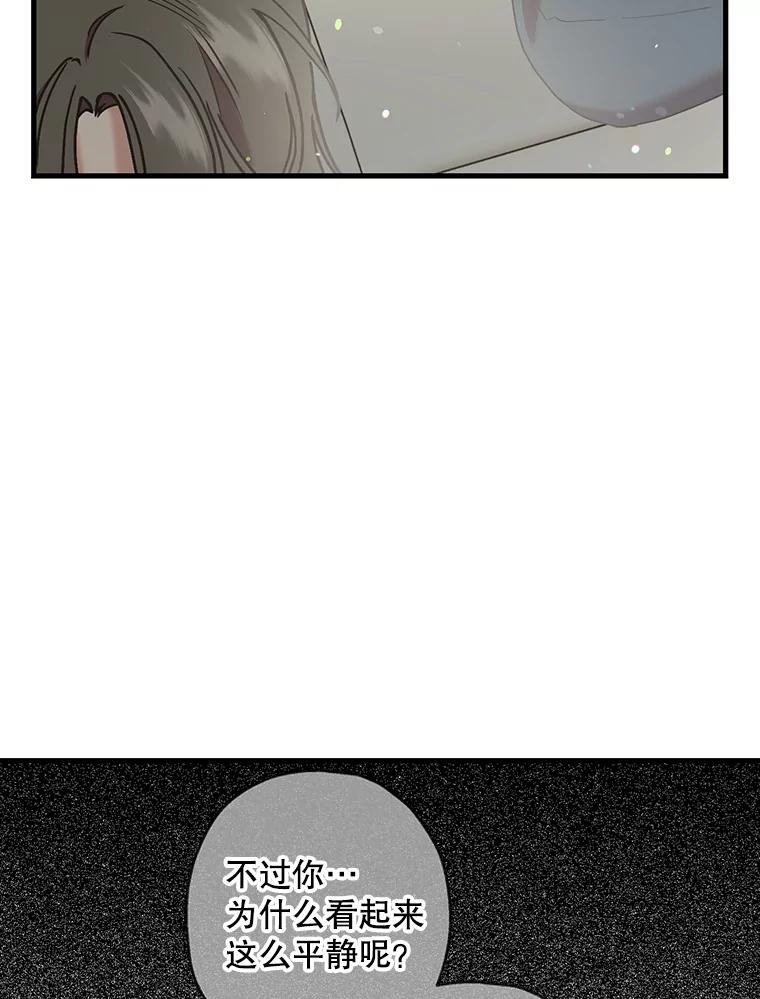 《第二个丈夫》54.接近真相 第118页