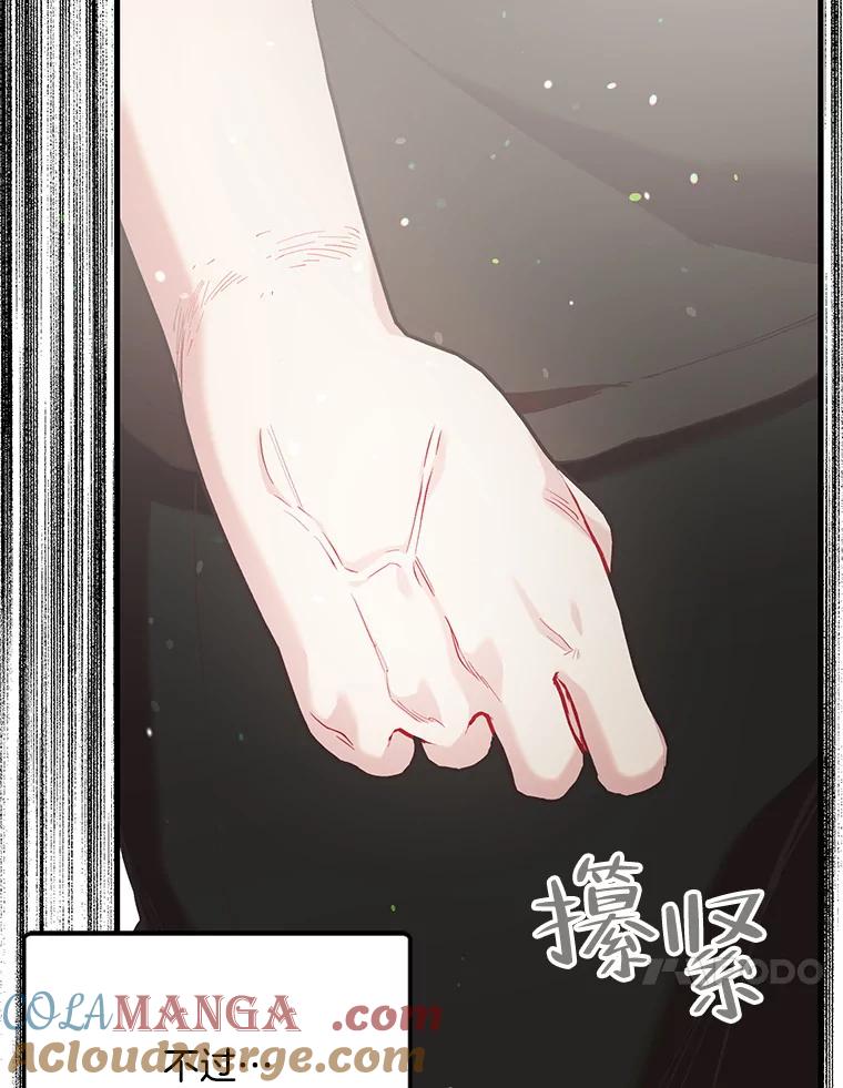 《第二个丈夫》55.韩泰阳出现了 第97页