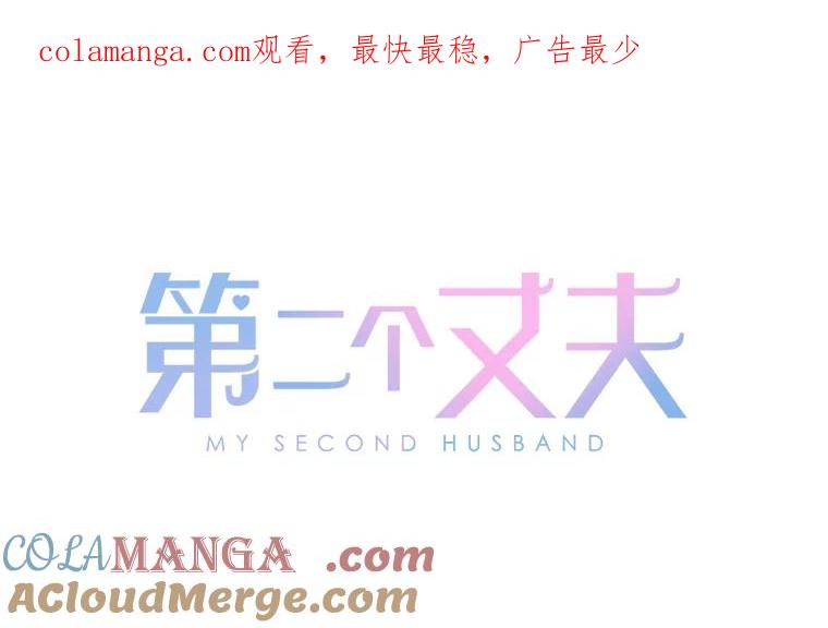 《第二个丈夫》55.韩泰阳出现了 第1页