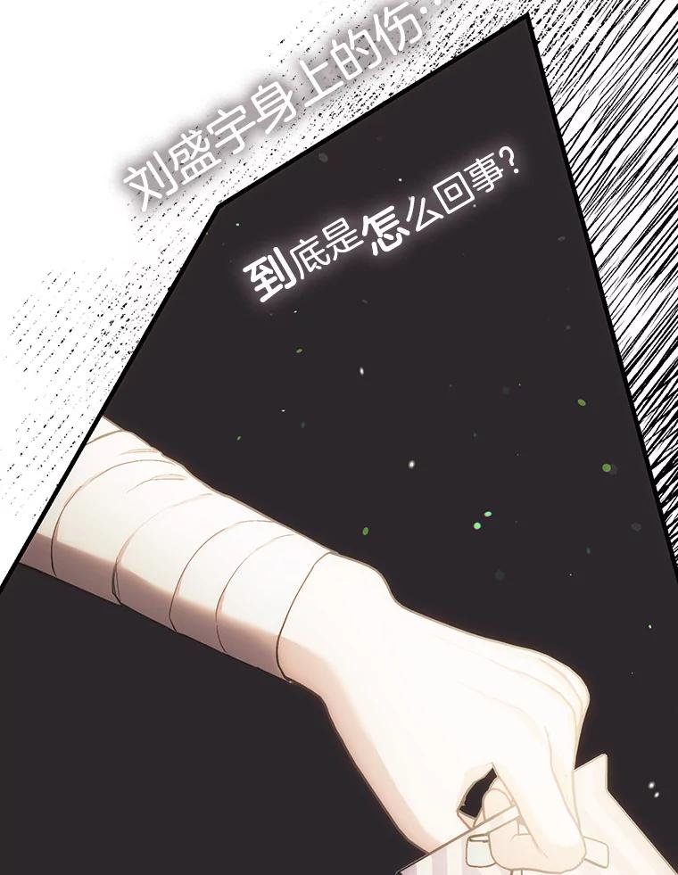 《第二个丈夫》55.韩泰阳出现了 第102页