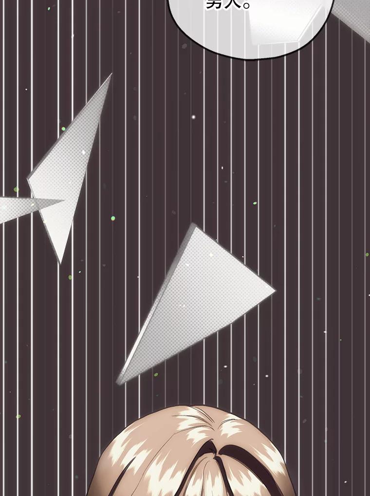 《第二个丈夫》56.单独谈话 第70页