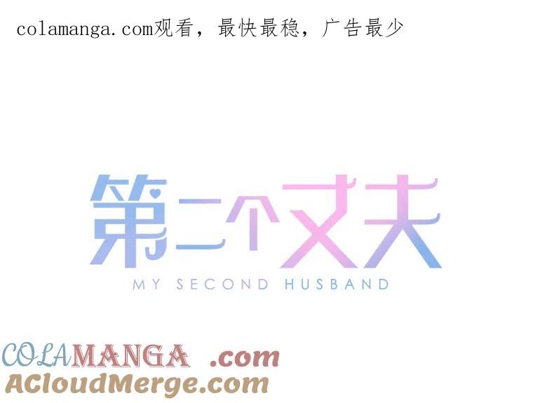 《第二个丈夫》56.单独谈话 第1页