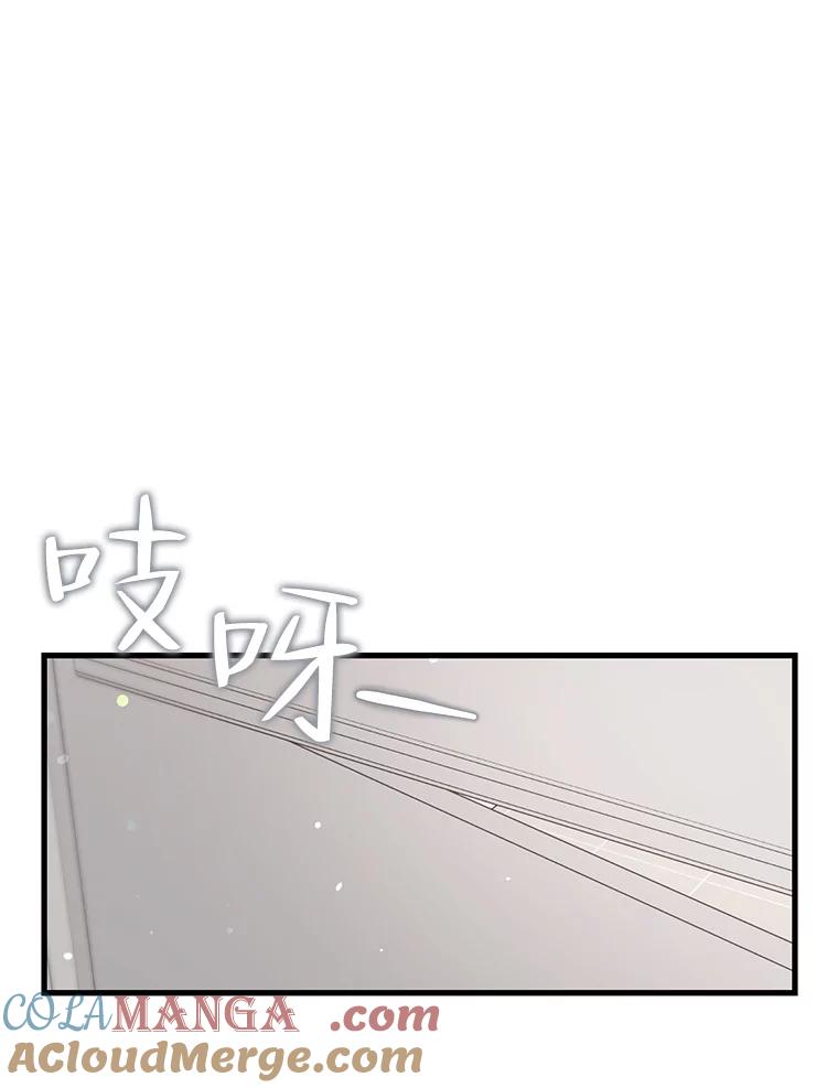 《第二个丈夫》56.单独谈话 第33页