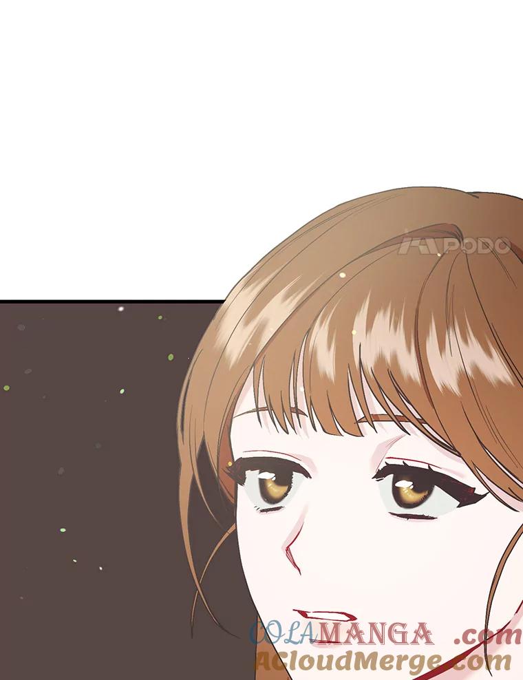 《第二个丈夫》56.单独谈话 第41页