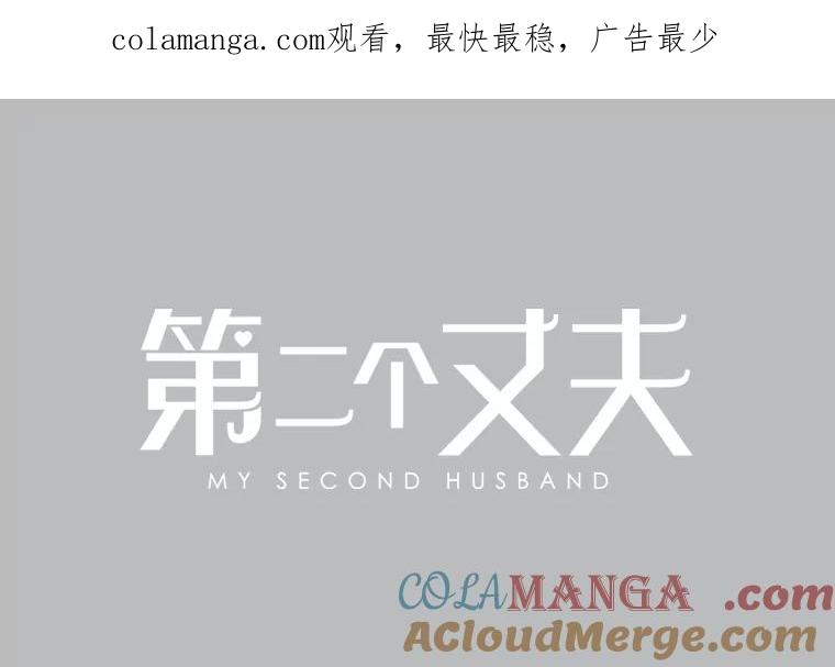 《第二个丈夫》57.开诚布公 第1页