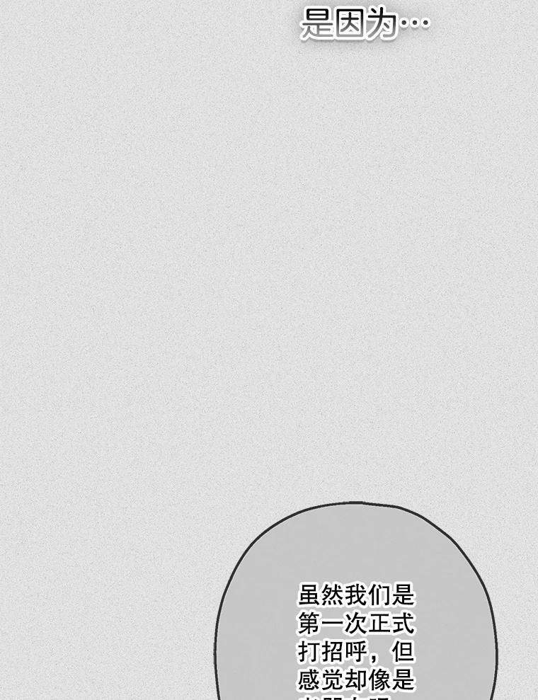 《第二个丈夫》57.开诚布公 第12页