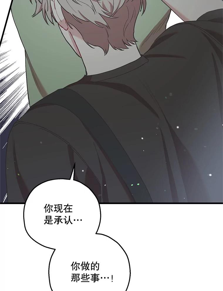 《第二个丈夫》57.开诚布公 第51页