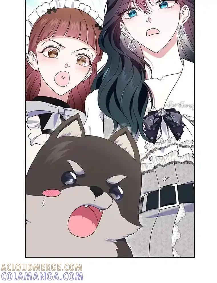 《抢走女主的初恋》63.准备完毕 第5页