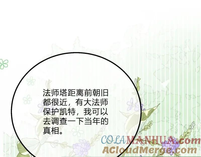 《反派女爵的逆袭（女爵穿成妹宠）》第170话 第167话 三兄弟争夺凯特 第33页