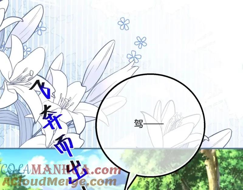 《反派女爵的逆袭（女爵穿成妹宠）》第176话 第173话 引起骚动 第58页