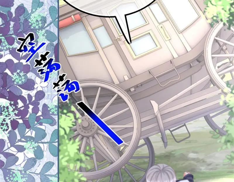 《反派女爵的逆袭（女爵穿成妹宠）》第179话 第176话 一片龙鳞 第9页