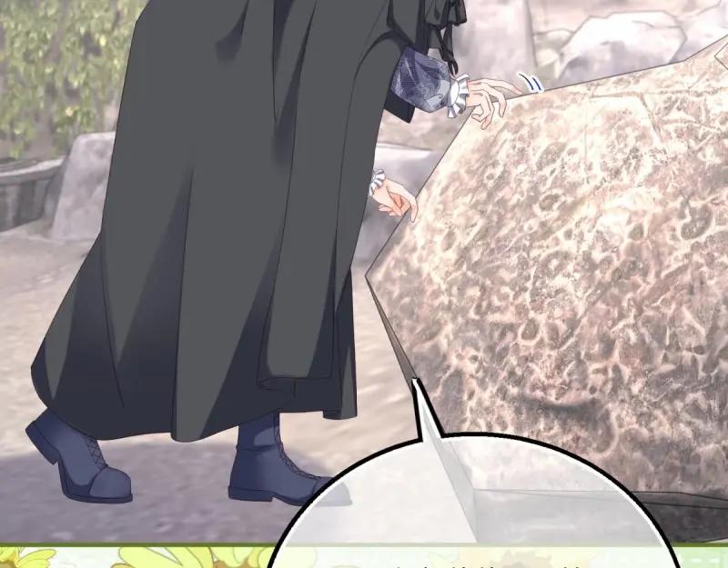 《反派女爵的逆袭（女爵穿成妹宠）》第179话 第176话 一片龙鳞 第62页