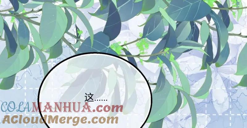 《反派女爵的逆袭（女爵穿成妹宠）》第179话 第176话 一片龙鳞 第46页