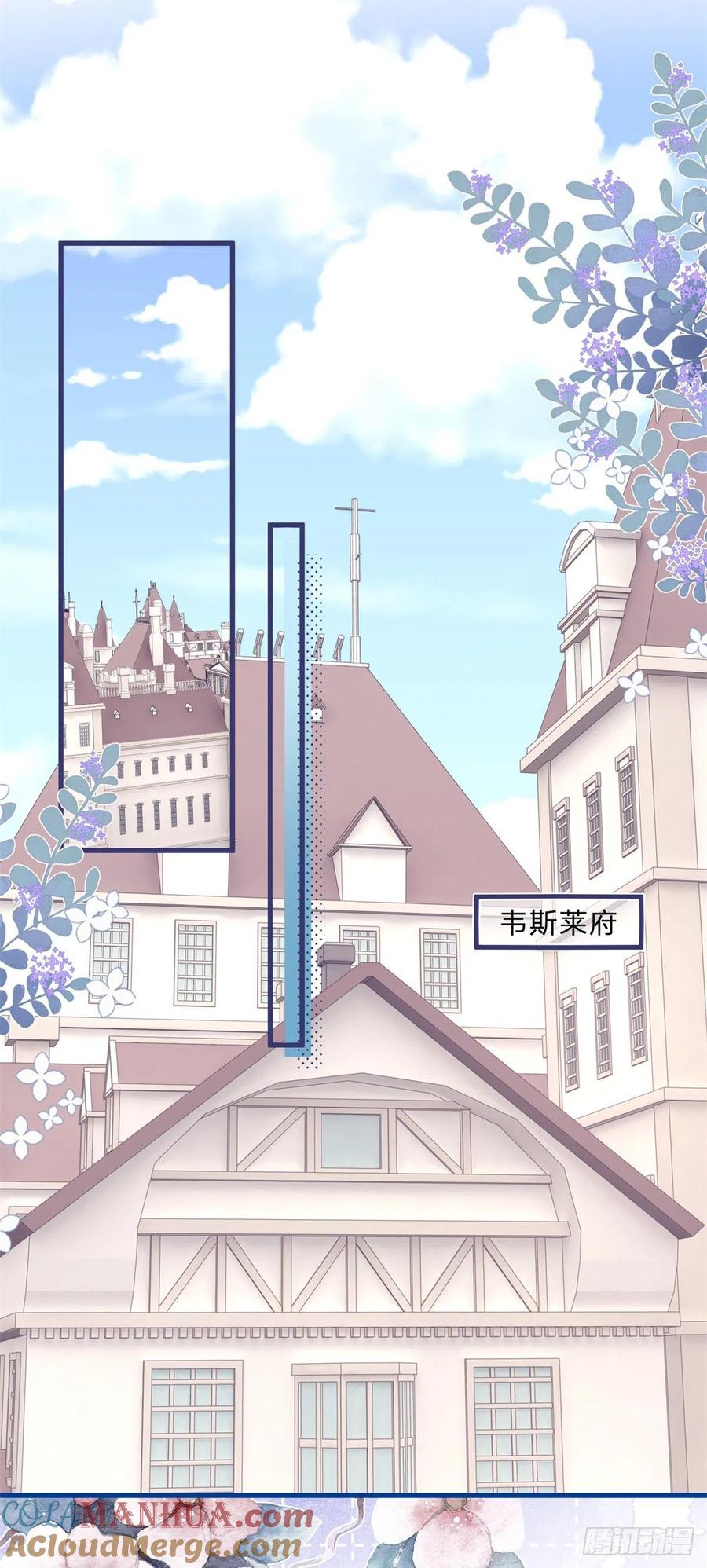 《反派女爵的逆袭（女爵穿成妹宠）》第51话 第49话 二哥的要求 第15页