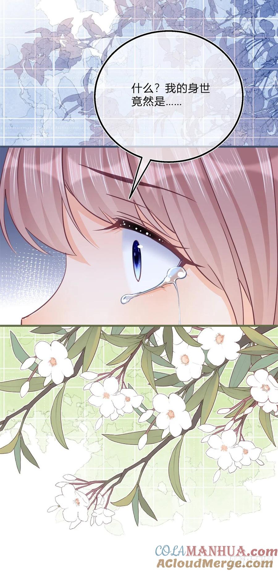 《反派女爵的逆袭（女爵穿成妹宠）》第93话 第91话 身世大白 第25页