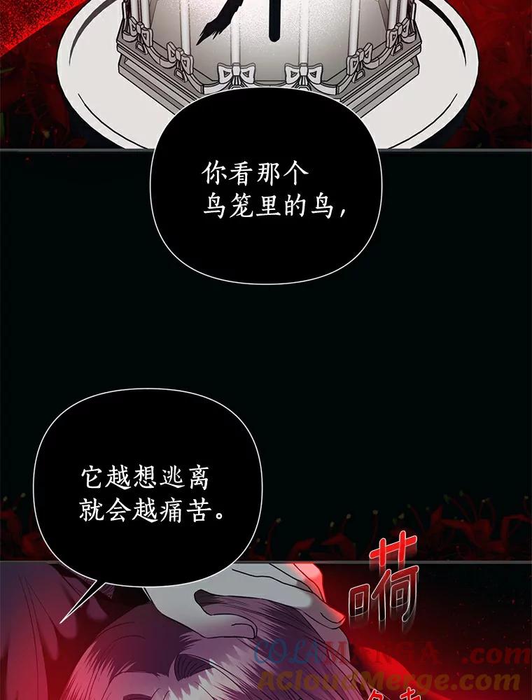 《与陛下同寝的生存法则》4.伪装 第52页