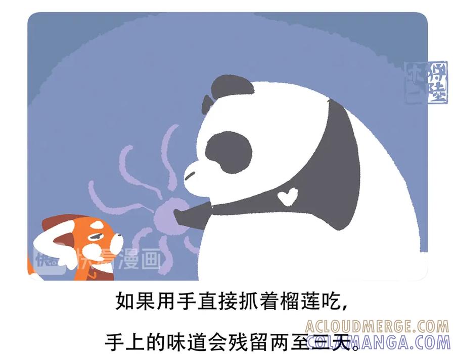 《胖达x胖达》第61话 第31页