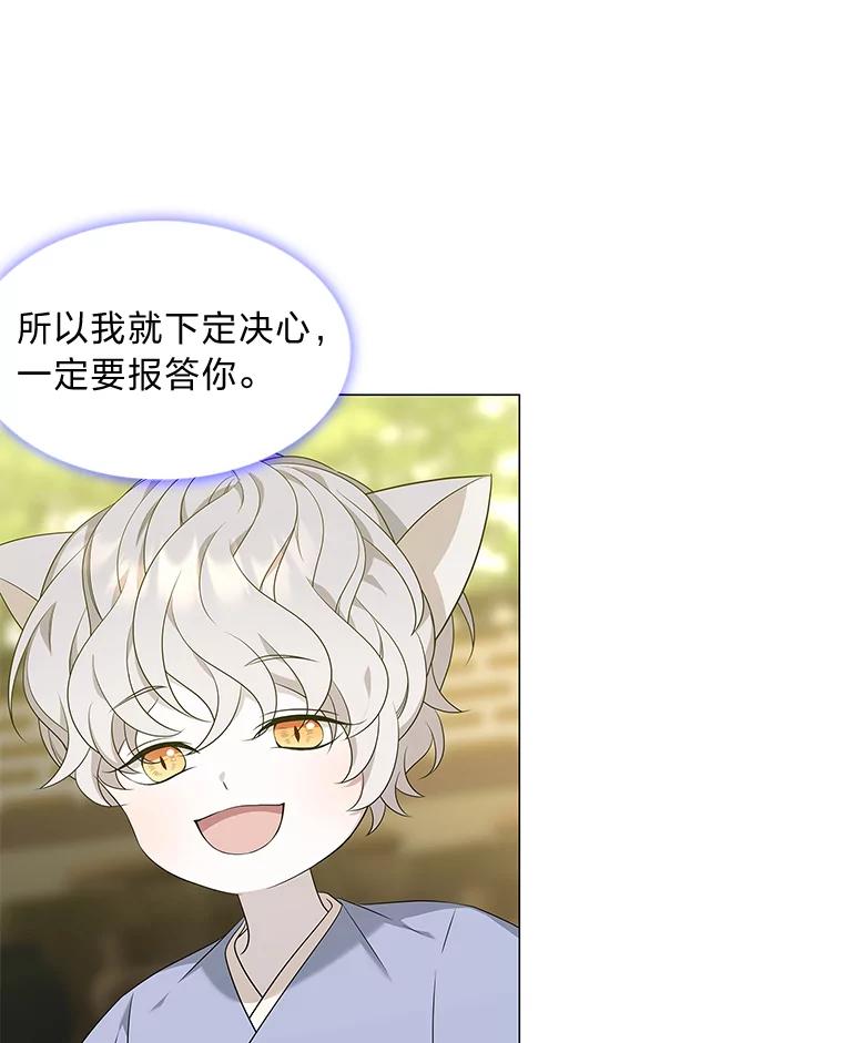 《魅惑狐狸》11.不言放弃小白狐 第66页