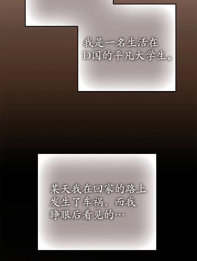 《反派未婚夫阻碍我的花路》1.圣女 第47页