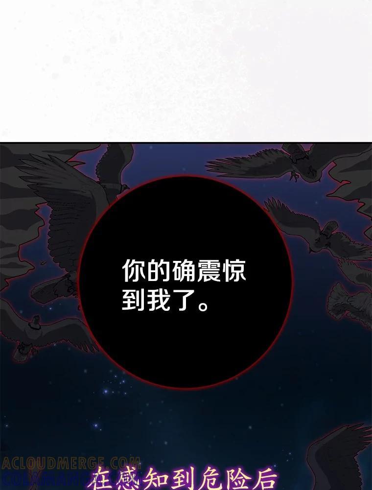 《反派未婚夫阻碍我的花路》31.遇袭 第117页