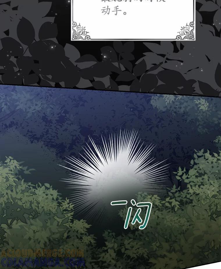 《反派未婚夫阻碍我的花路》31.遇袭 第29页